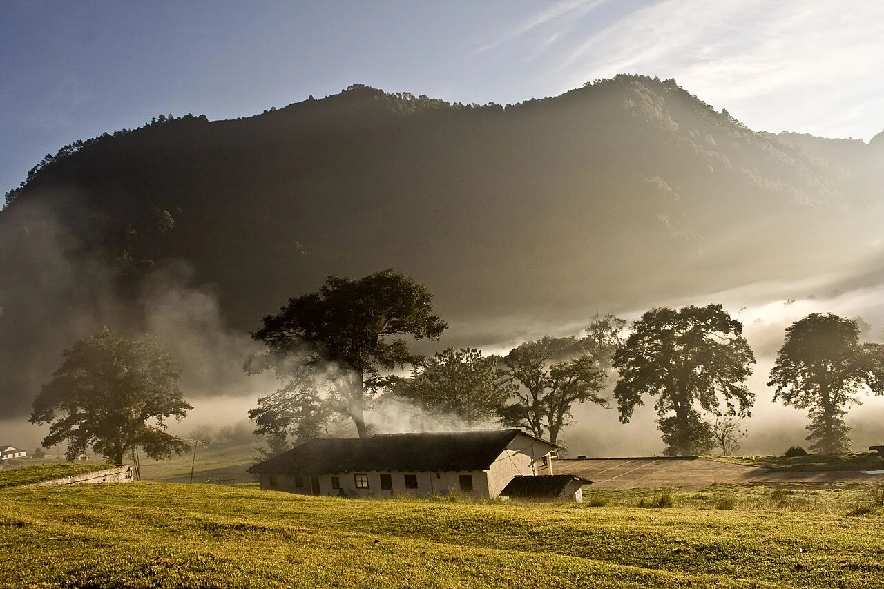 Ruinele Gumarcaaj — Chicacao (Guatemala)