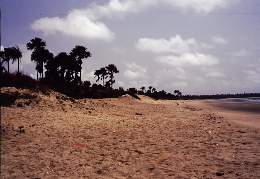 Fischmehlfabrik Gunjur — Kafaya (Gambia)