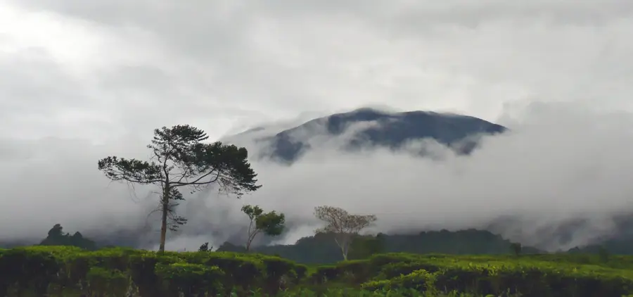 Gunung Gede Pangrango Nemzeti Park