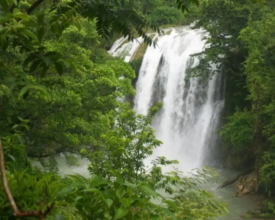 Saut-Mathurine — Pic Macaya (Haiti)