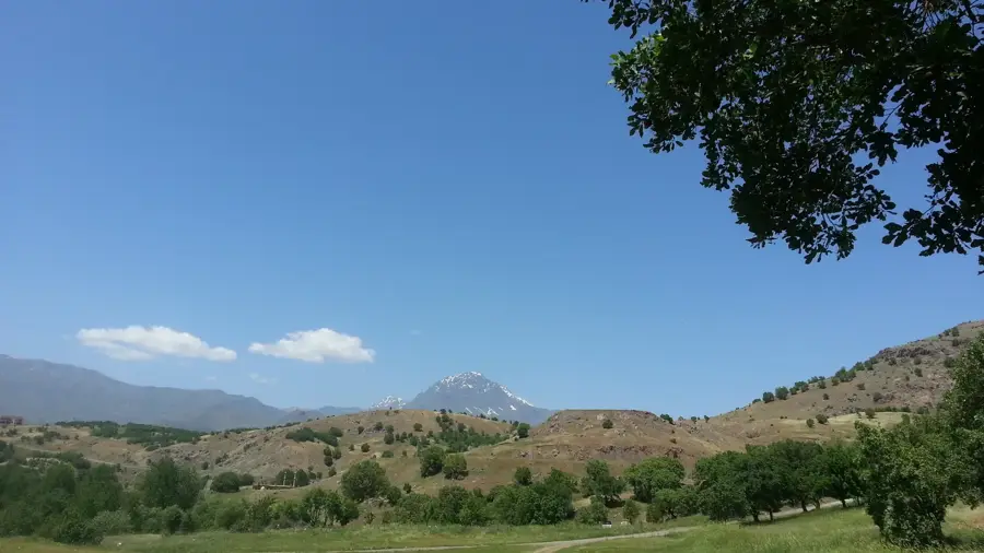 Halgurd