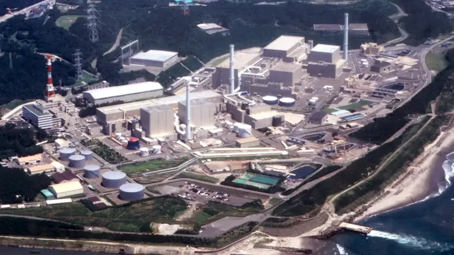 Centrala Nucleară Hamaoka — Numazu (Japonia)