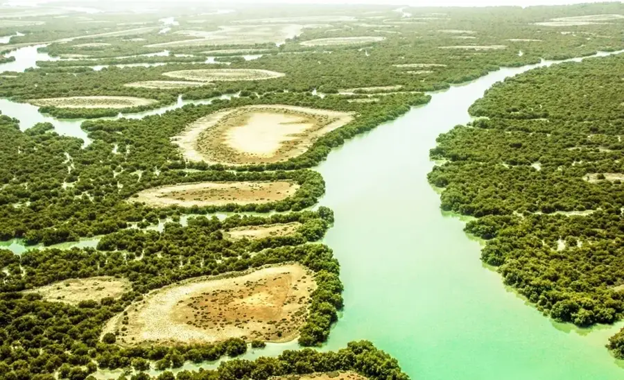 Hara Forests — Bandar Laft (Iran)