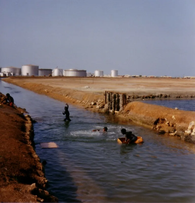 Hassai Gold Mine (Ariab) — Haya (Sudan)