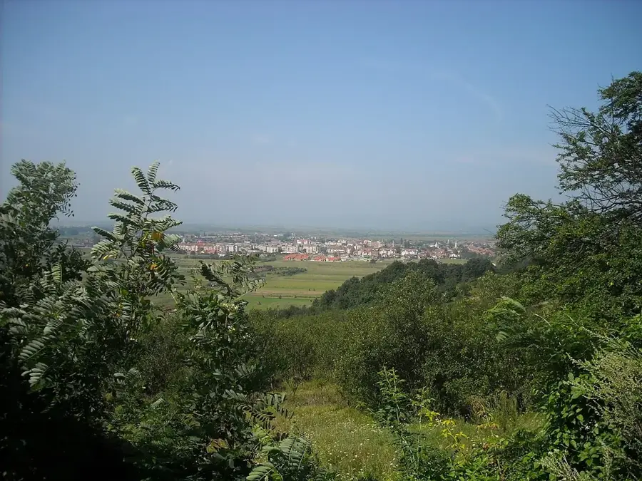 Hațeg – oraș