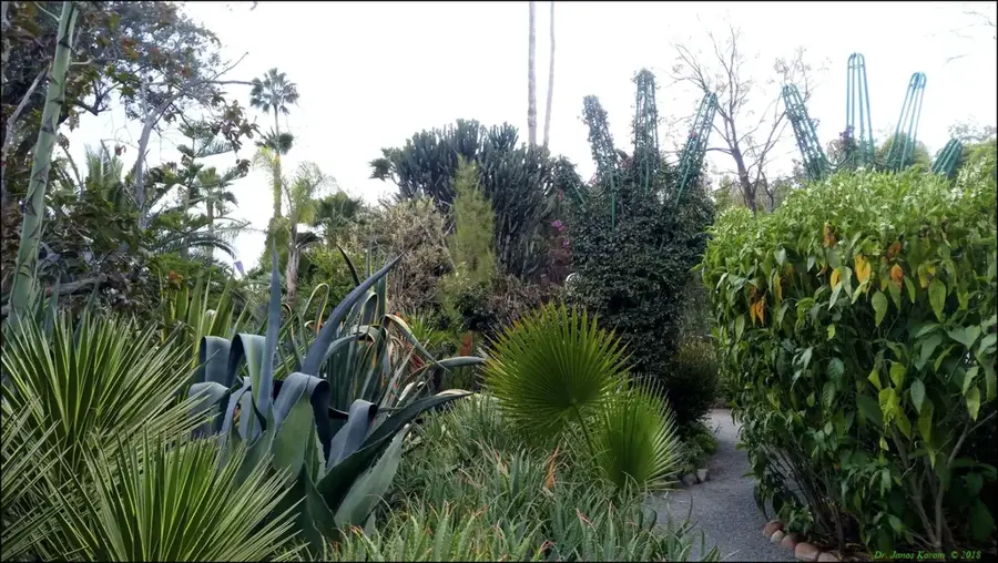 Heller Garden — Kiambu (Kenia)