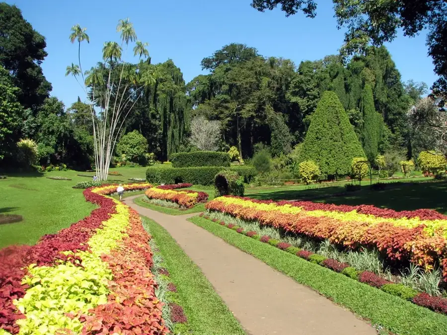Grădina Botanică Henarathgoda