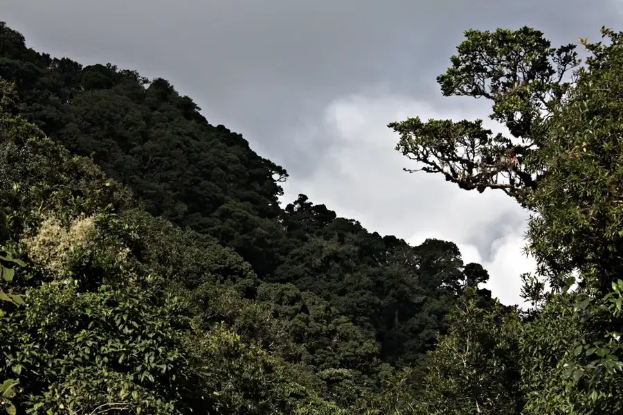 La Tigra Nemzeti Park