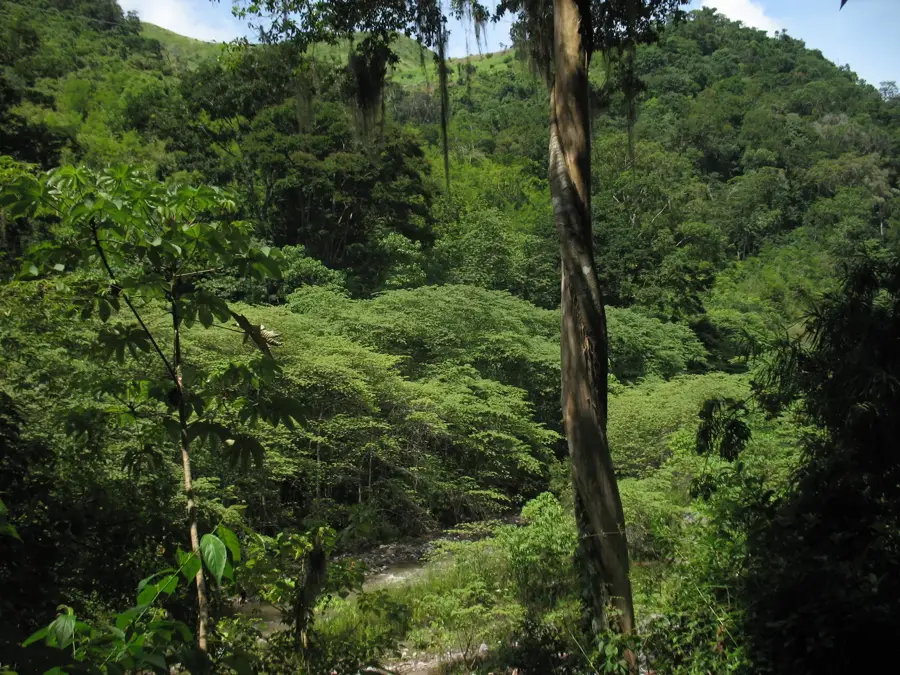 Sierra de Agalta