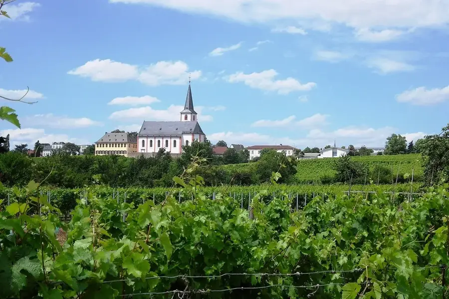 Hochheim am Main – city