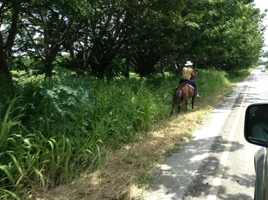 Hojancha — Nicoya (Costa Rica)