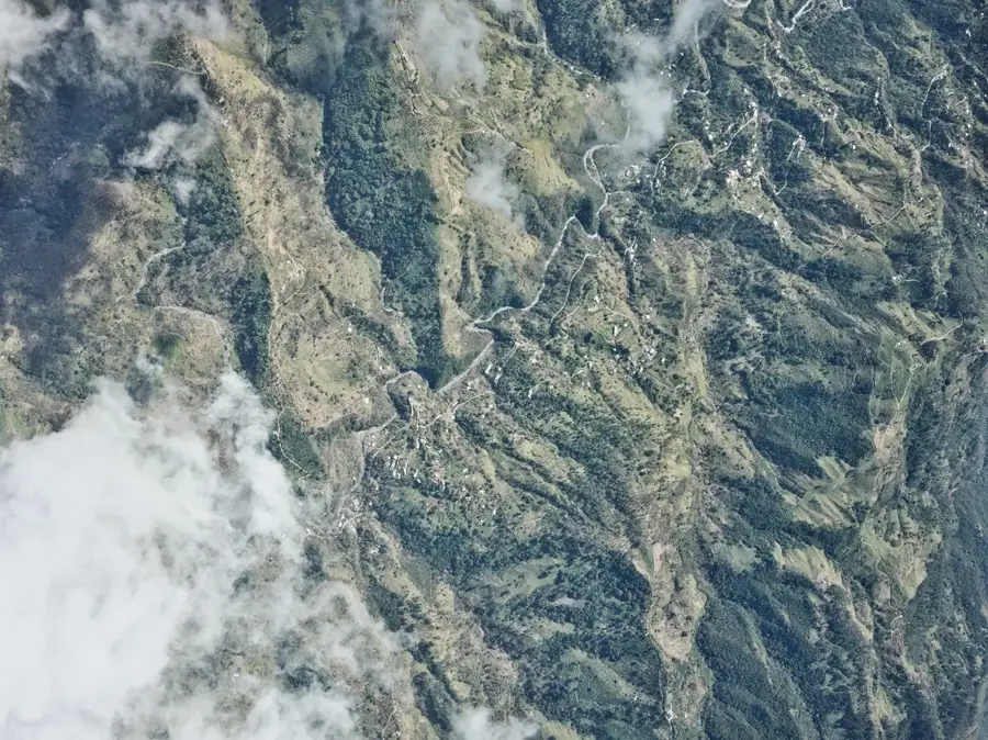 Pădurea Holywell — Valea Yallahs (Jamaica)