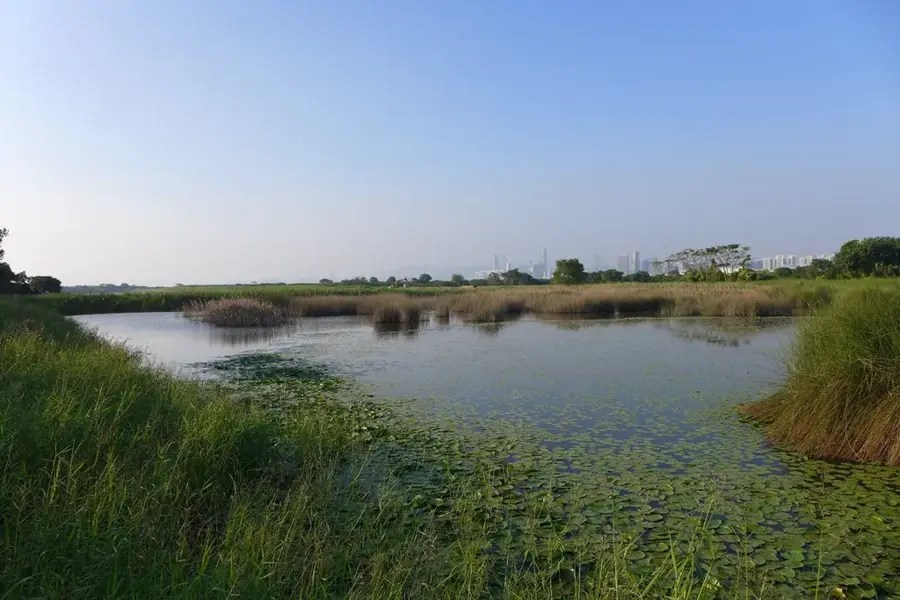 Mai Po Naturschutzgebiet