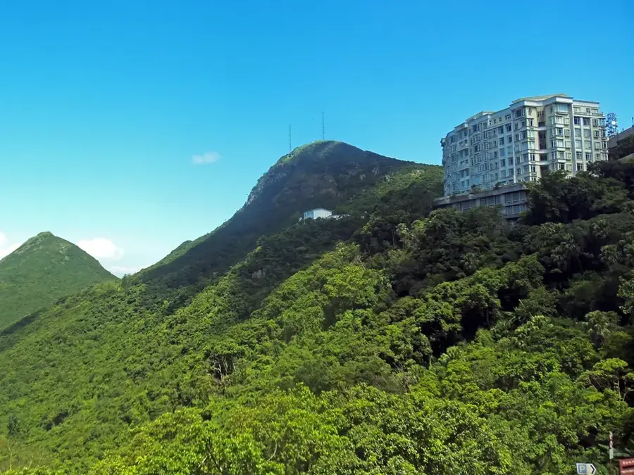 Mount Austin