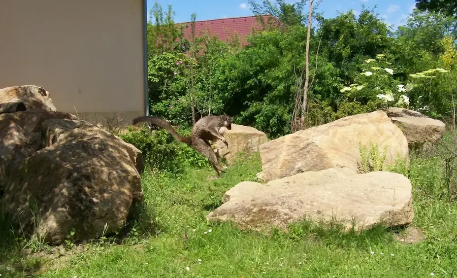 Zoologischer und Botanischer Garten
