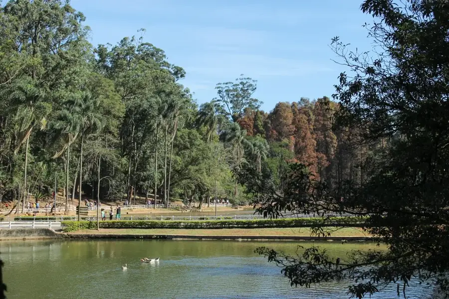 Horto Florestal Forest Park — Sorocaba (Brazil)