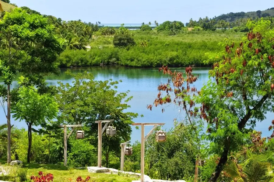 Île-à-Vache