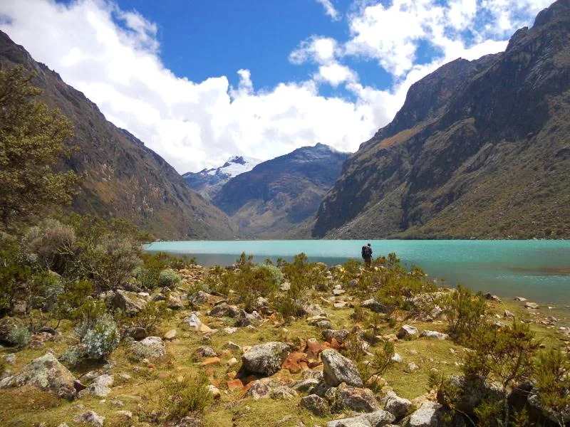 Nationalpark Huascarán (Flora & Fauna) — Chopicalqui (Peru)