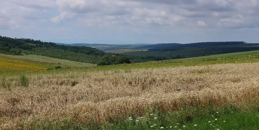 Cserehát-Hügelland – Berg