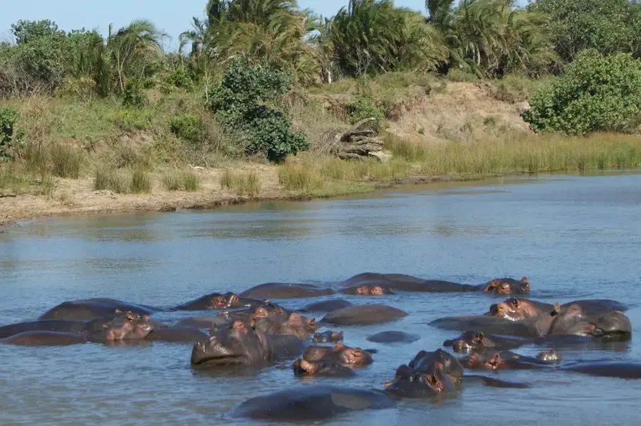 iSimangaliso Vizesélőhely-park — Ponta Malongane (Mozambik)