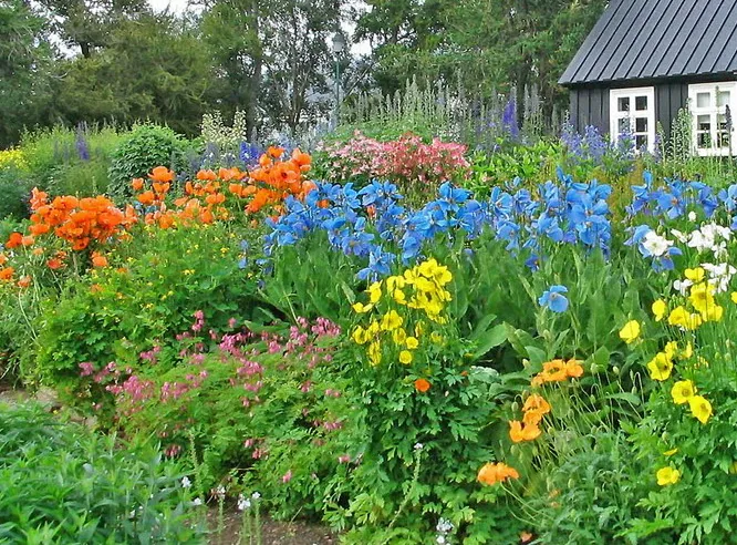 Grădina Botanică Akureyri