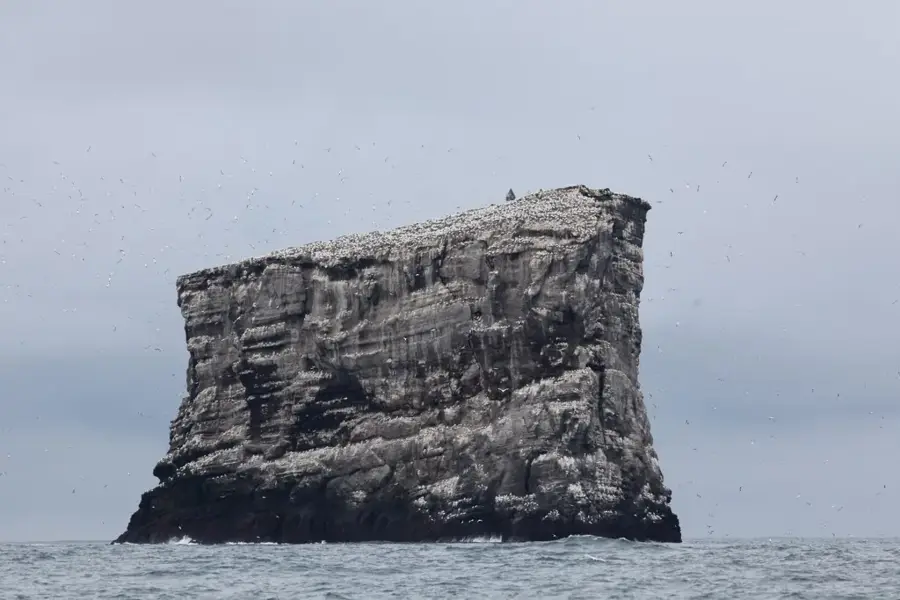Insula Eldey