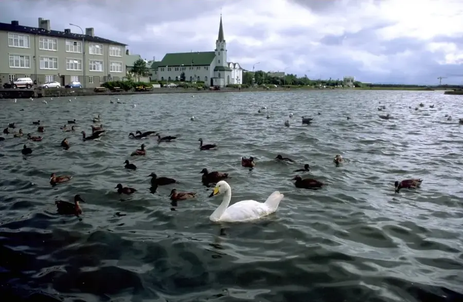 Lacul Tjörnin