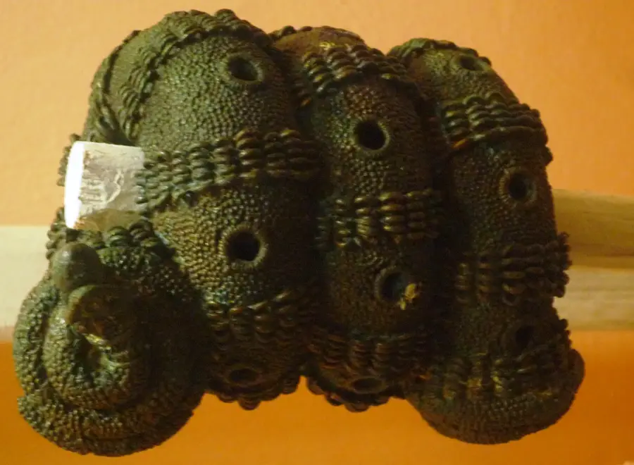 Situl arheologic Igbo-Ukwu