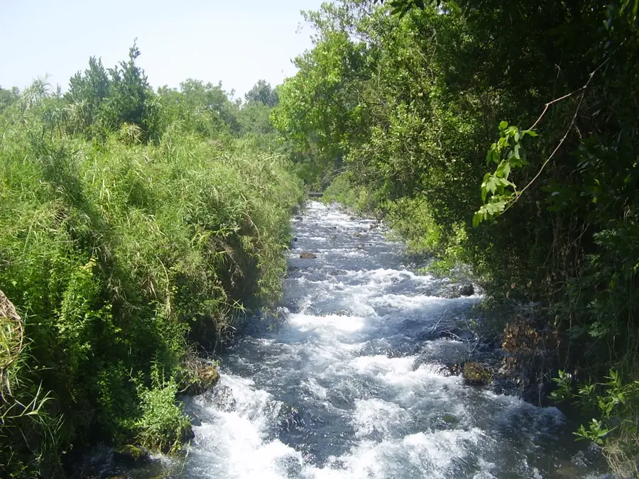 Dan — Nabatäa (Libanon)