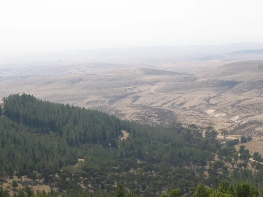 Pădurea Yatir — Așdod (Israel)