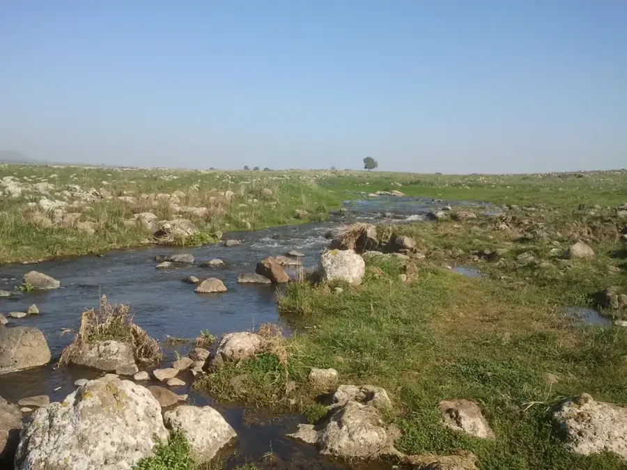 Yehudiya Forest Reserve