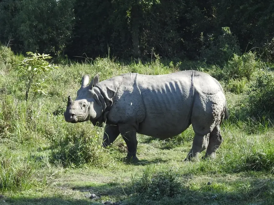 Kaziranga-Nationalpark — Hakha (Myanmar)