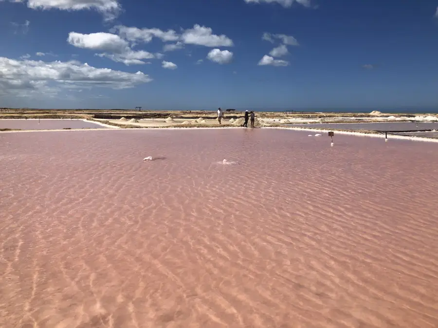 Salinele din Inagua — Matthew Town (Bahamas)