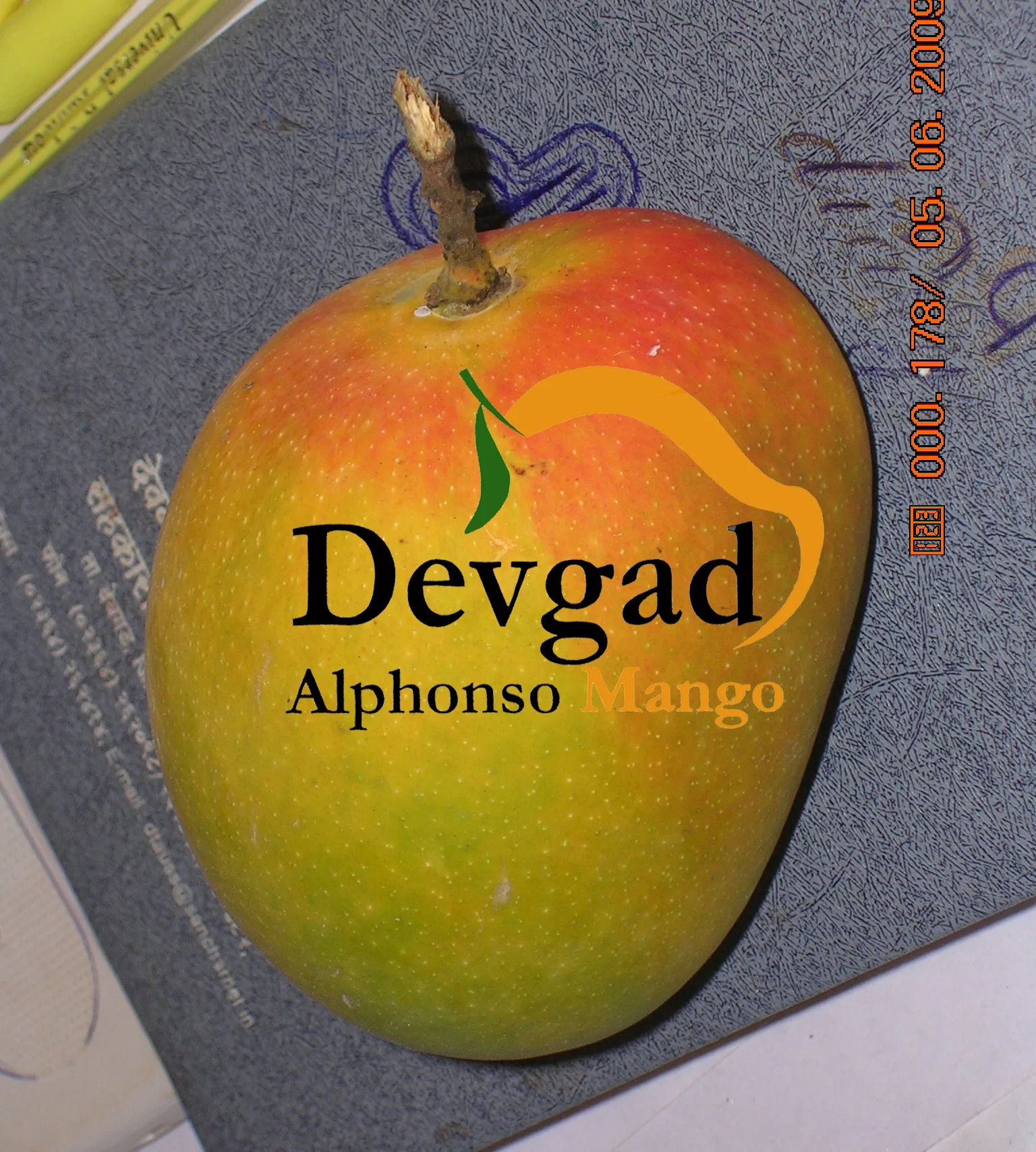 Devgad