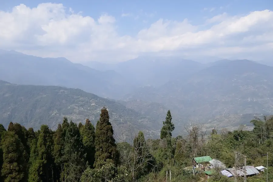 Pelling