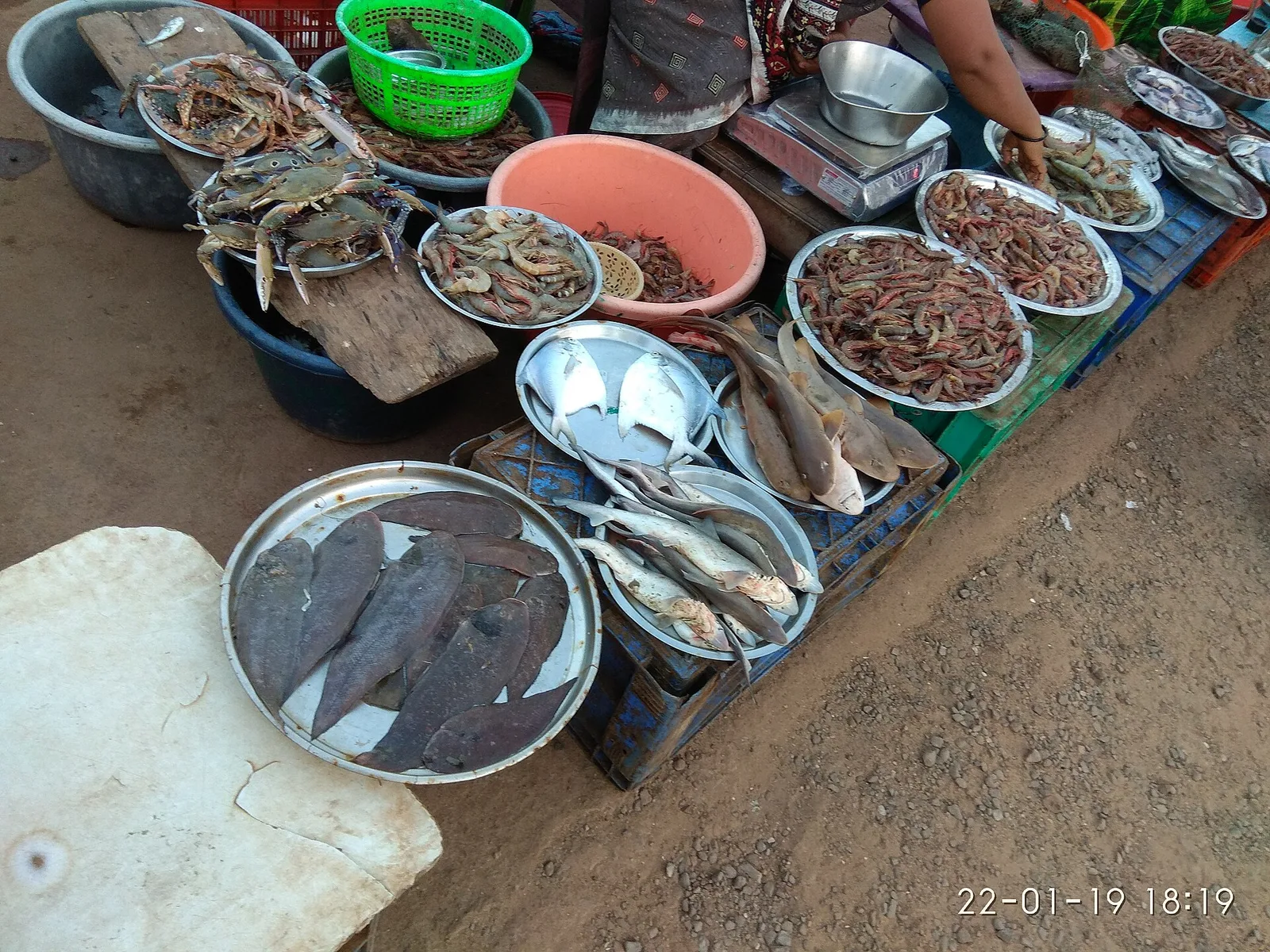 Vengurla — Manori (India)