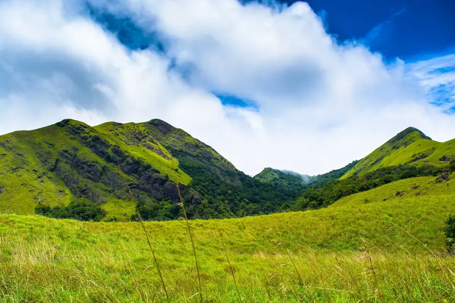 Wayanad