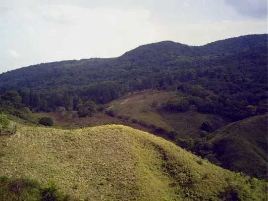 Fischereiindustrie Veraguas — Cerro Tute (Panama)