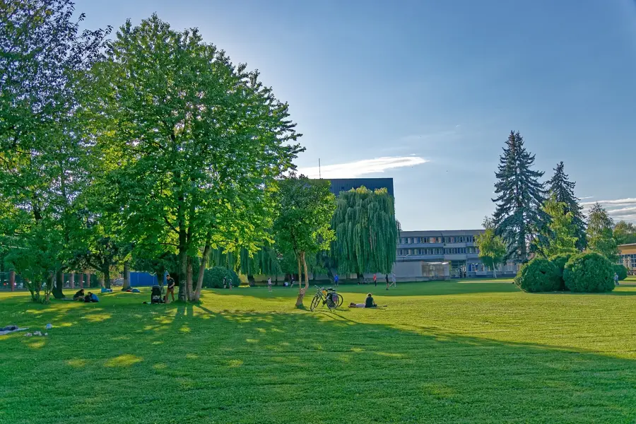 Autoliv Brașov