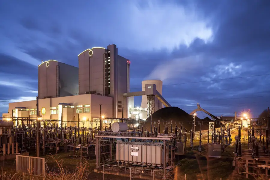 Continental Plant Stöcken