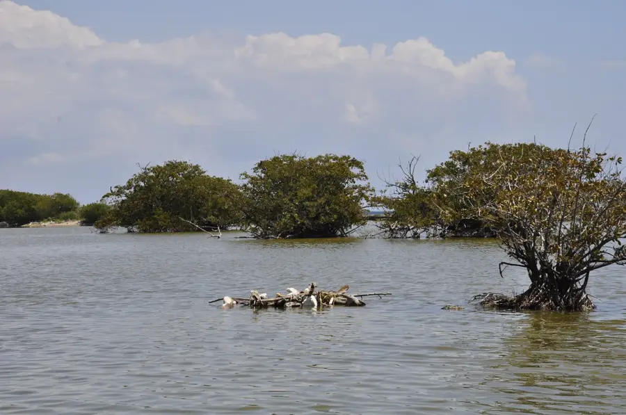 Moara de zahăr Boca de Nigua — Palenque (Republica Dominicană)