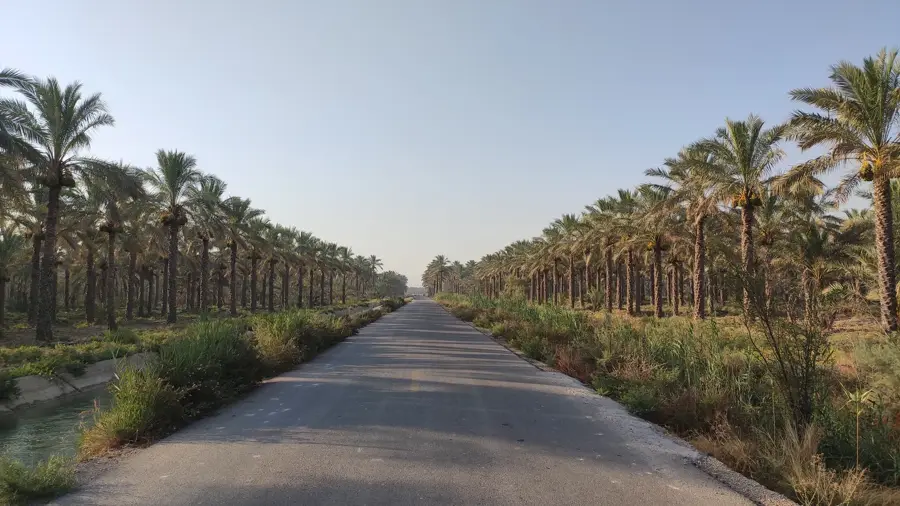 Bushehr