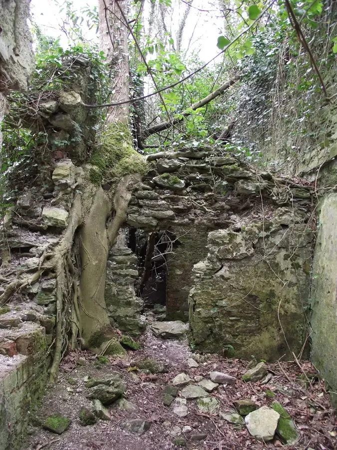Aghada Lower