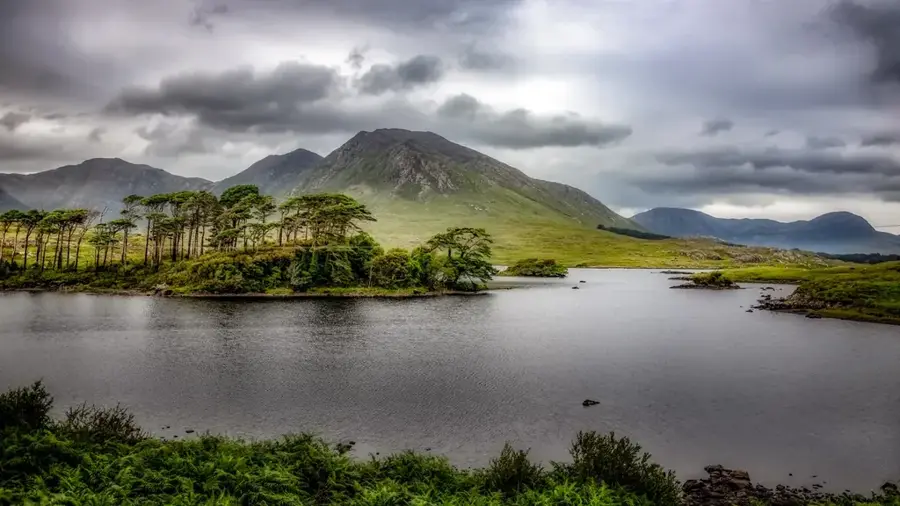 Pădurea Derryclare