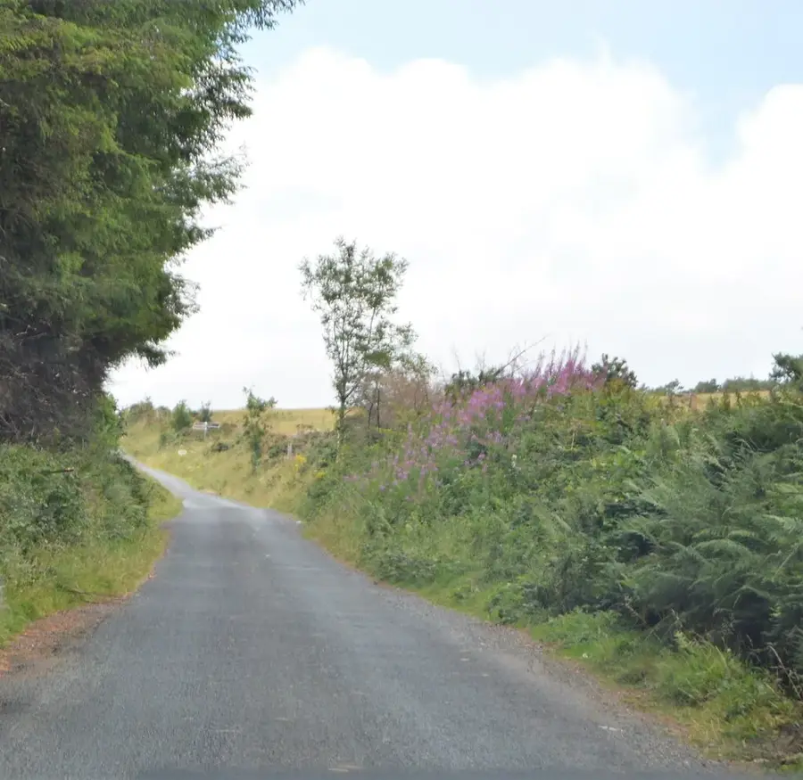 Mount Leinster