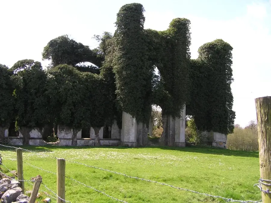 Castelul Moydrum
