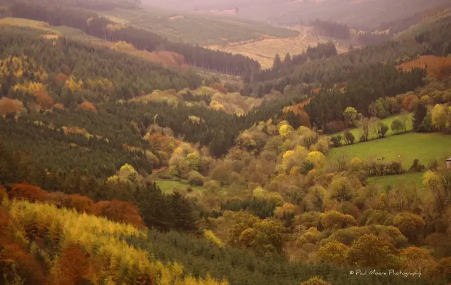 Slieve Bloom