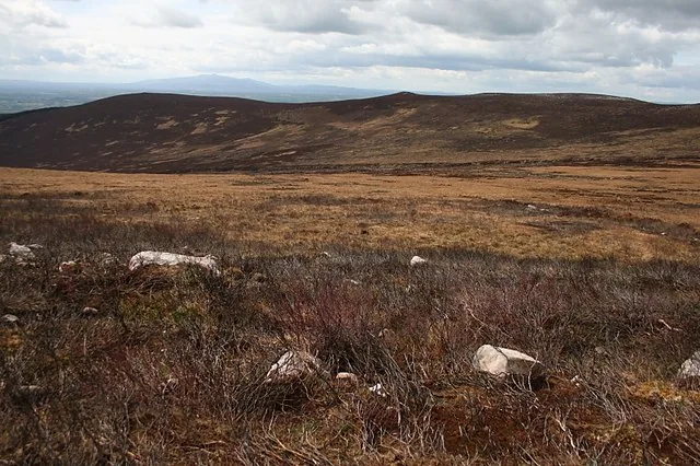 Slieve na mon