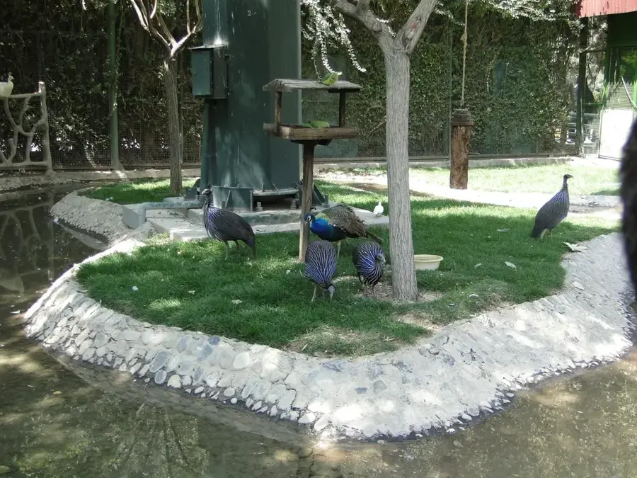Isfahan Birds Garden — Isfahan (Iran)