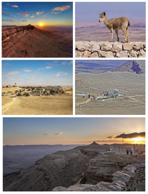 Ferma de Alpaca Mitzpe Ramon — Centrala Solară Ashalim (Israel)
